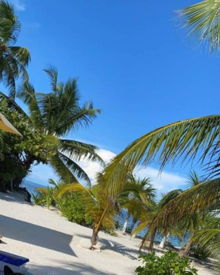 ¡En un paraíso! El lugar que escogió Teófimo López para vacacionar luego de vencer a Lomachenko