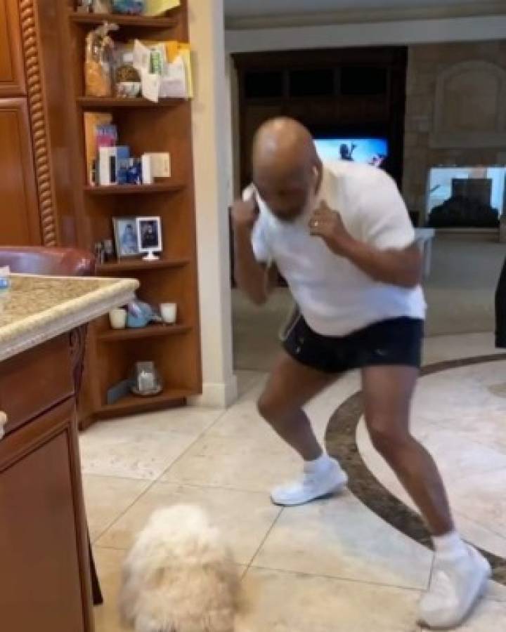 Mars, el perro de Mike Tyson que tiene Instagram y con el que trata de olvidar a su tigre