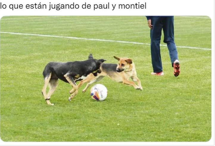 Messi y Tata Martino protagonistas: Los jocosos memes que dejó la victoria de Argentina sobre México en Qatar 2022