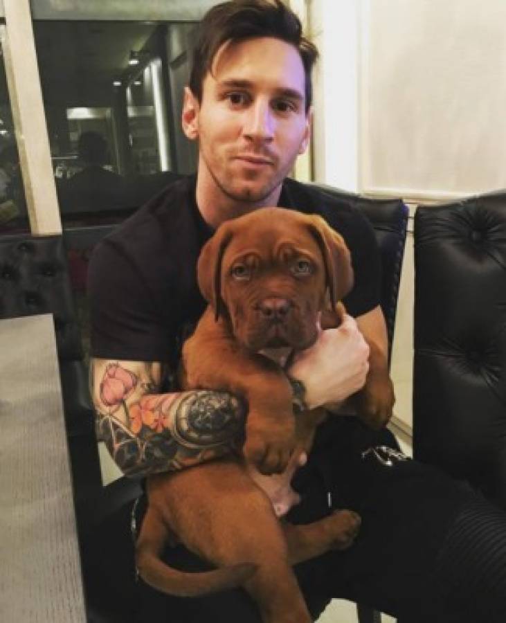 La impresionante transformación de 'Hulk', el perro de Lionel Messi