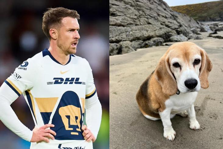Aaron Ramsey rompe con Pumas y huyó de México: se confirmó el motivo de su drástica decisión