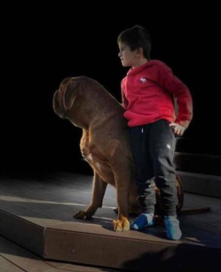 La impresionante transformación de 'Hulk', el perro de Lionel Messi