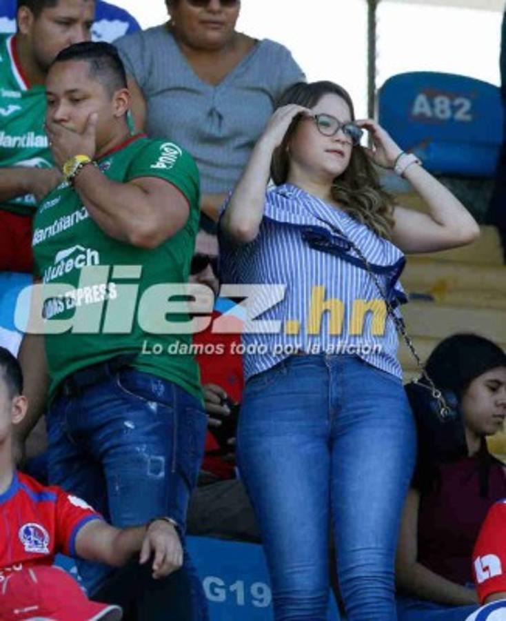 ¡Solo bellezas! Estas son las lindas chicas que adornaron los juegos de Liga Nacional