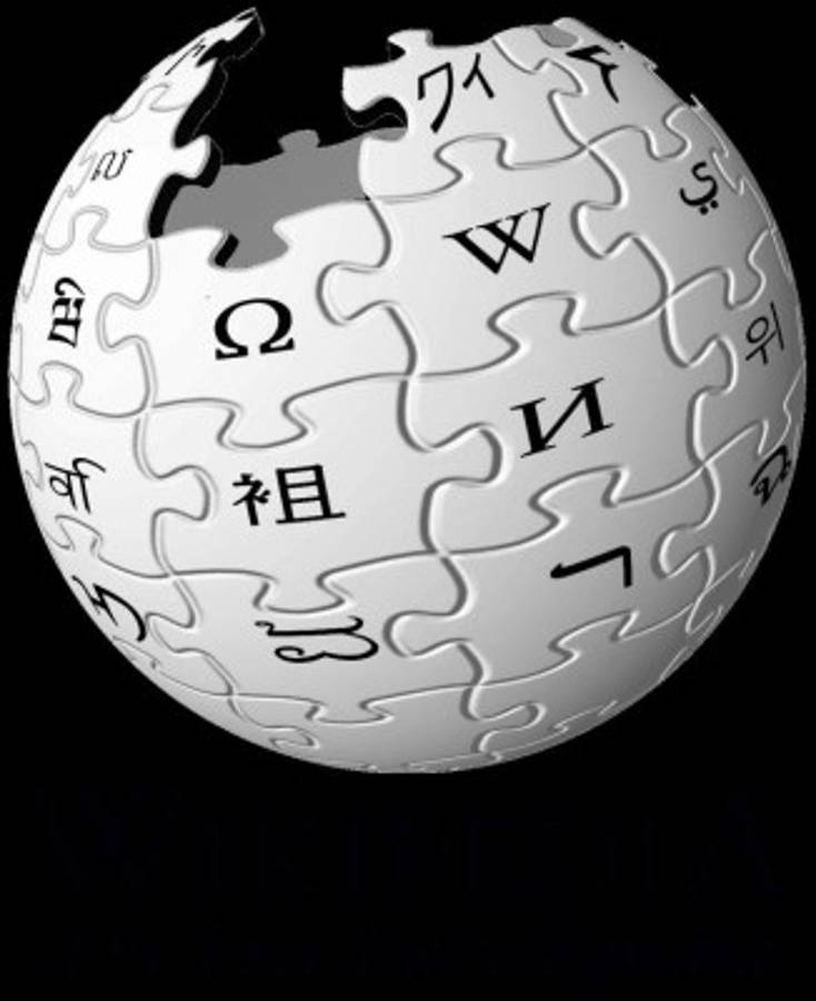 El hombre que ha hecho la misma corrección en Wikipedia 48 mil veces