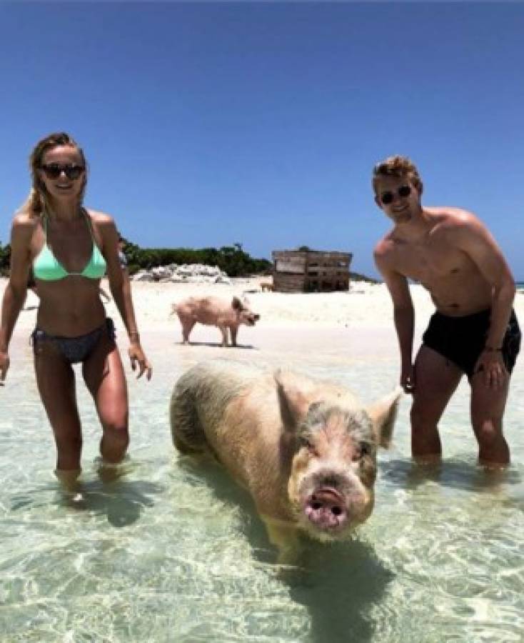 Fotos: De Ligt se marcha a la 'isla de los cerdos' con su espectacular novia