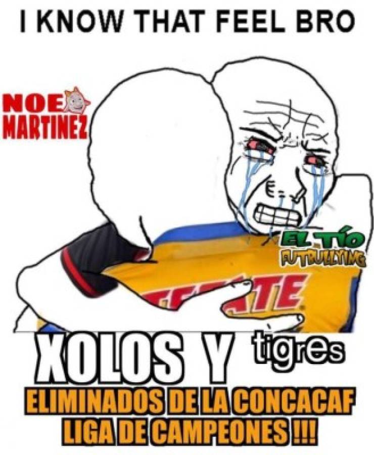 ¡Imperdibles! Tremendos memes contra Tigres y Xolos por su eliminación en Liga de Campeones