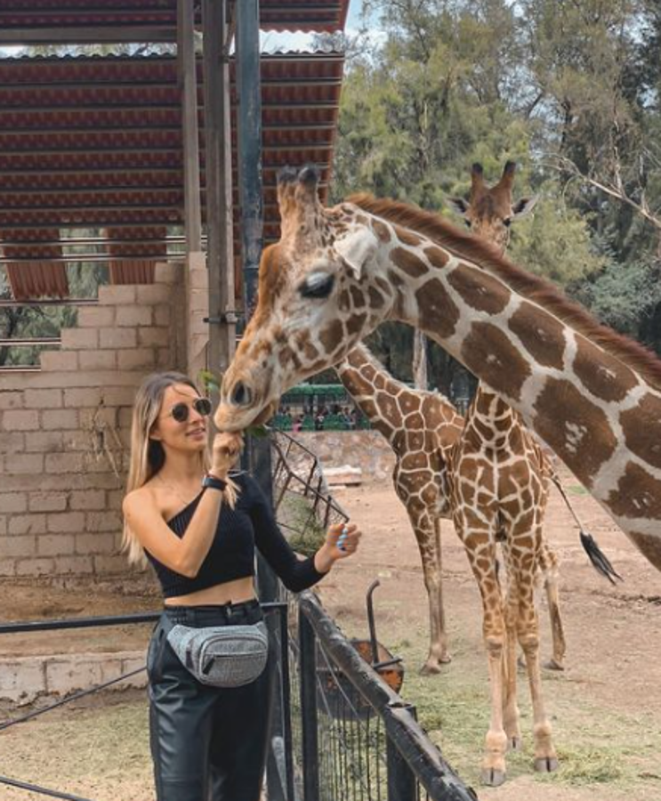 Así era Karla Torres, la exjugadora del León que murió a los 23 años luego de un trágico accidente en México