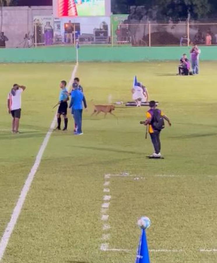 Futbolista de Motagua llora, la belleza en Choloma y el show de 'Firulays': ¡no le podían quitar el balón!