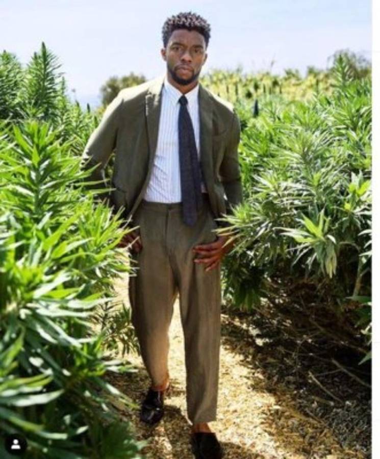 La vida detrás de Boseman, estrella de 'Pantera Negra', que murió de cáncer