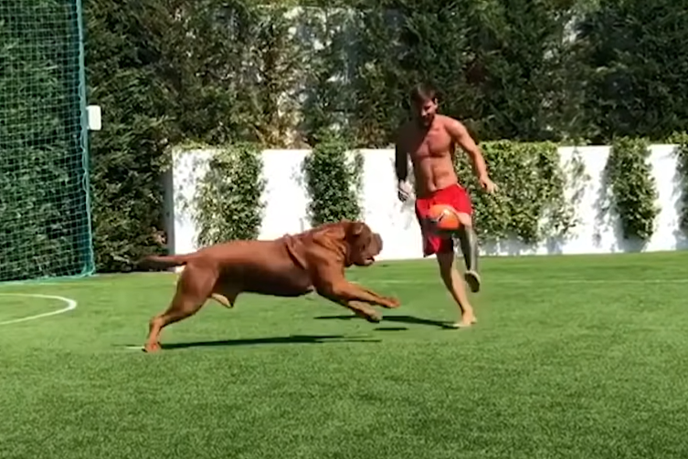 Messi contó dónde y cómo se encuentra Hulk, su gran perro valorado en 80 mil dólares