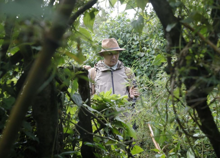 Con elefantes y gorilas: las imperdibles fotos de Sergio Ramos y Keylor Navas en uno de los países más exóticos del mundo