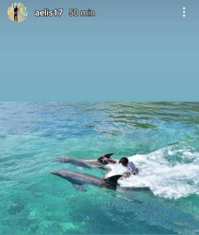 ¡Nadando con delfines! Así disfruta Alberth Elis en Roatán antes de sumarse a la Selección de Honduras