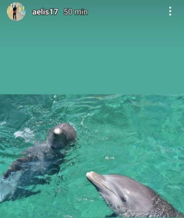 ¡Nadando con delfines! Así disfruta Alberth Elis en Roatán antes de sumarse a la Selección de Honduras