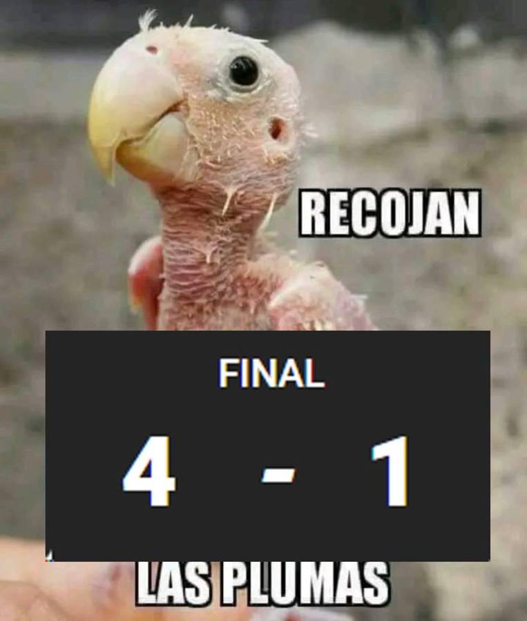 Los memes ‘señalan’ el culpable de la paliza de Cruz Azul al América en la Liga MX: “El patrón te necesita”