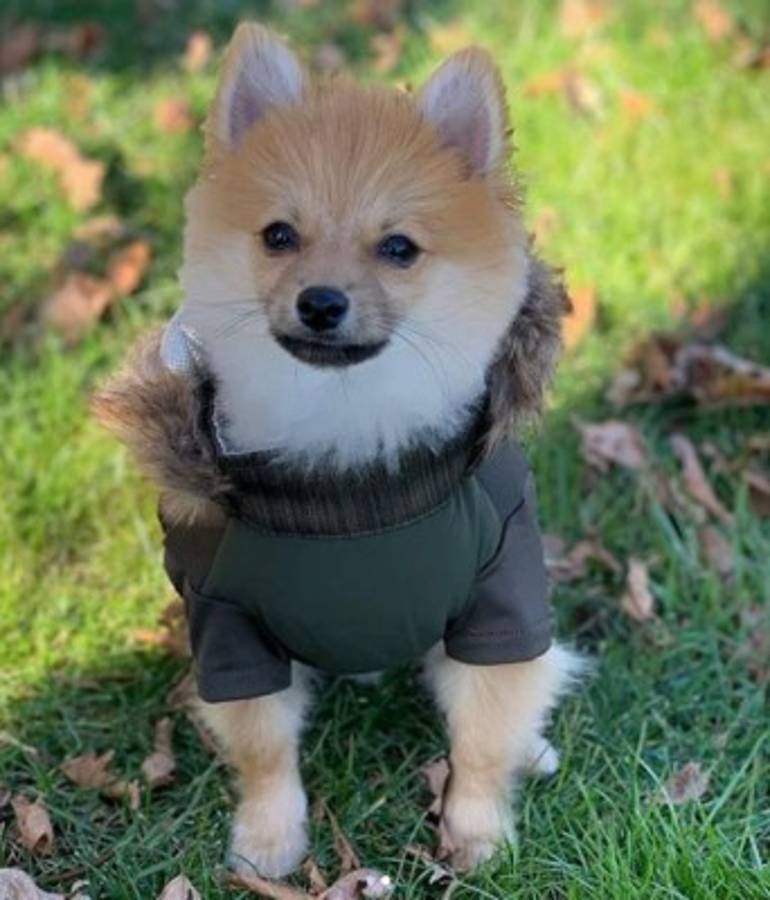 ¿Cómo es la vida de Teófimo López lejos del boxeo? Viajes de lujo, sus autos y su bella mujer