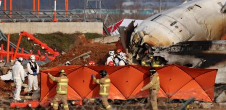 Tragedia en Corea del Sur: 179 muertos tras estrellarse un avión y la presunta causa del terrible accidente