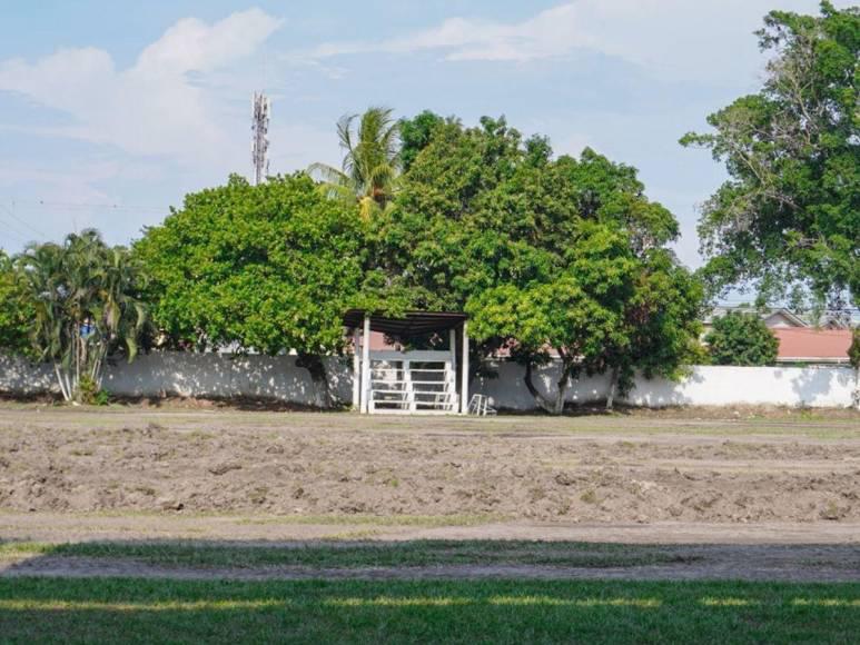 ¡Quedará como alfombra! El Estadio Yankel Rosenthal presenta avances significativos en el cambio de su engramillado