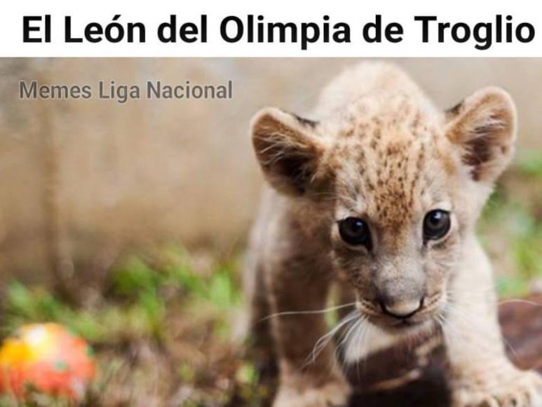 Olimpia no levanta cabeza y los memes destruyen al León tras perder ante Real España; nadie se salva