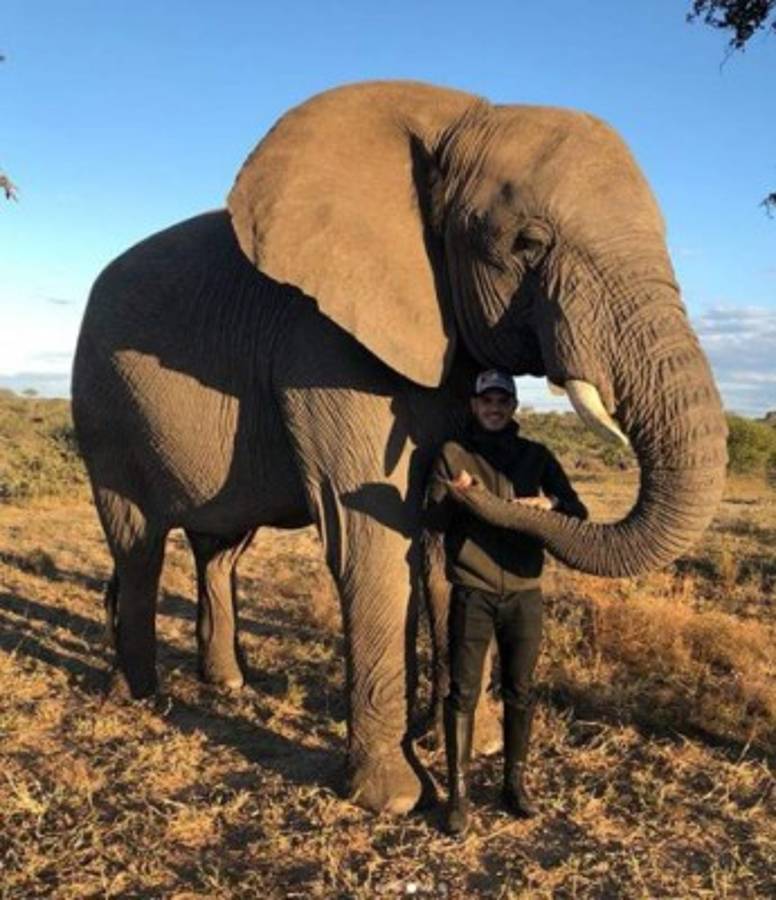 Wanda Nara se desnuda en la sabana con Mauro Icardi ¡Hasta atrajo a los monos!