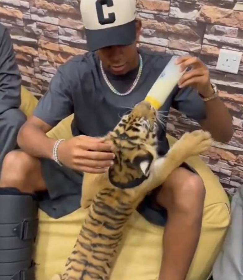 Las exóticas vacaciones de una estrella del Barcelona para despedir el 2024: osos, tigres y hasta serpientes