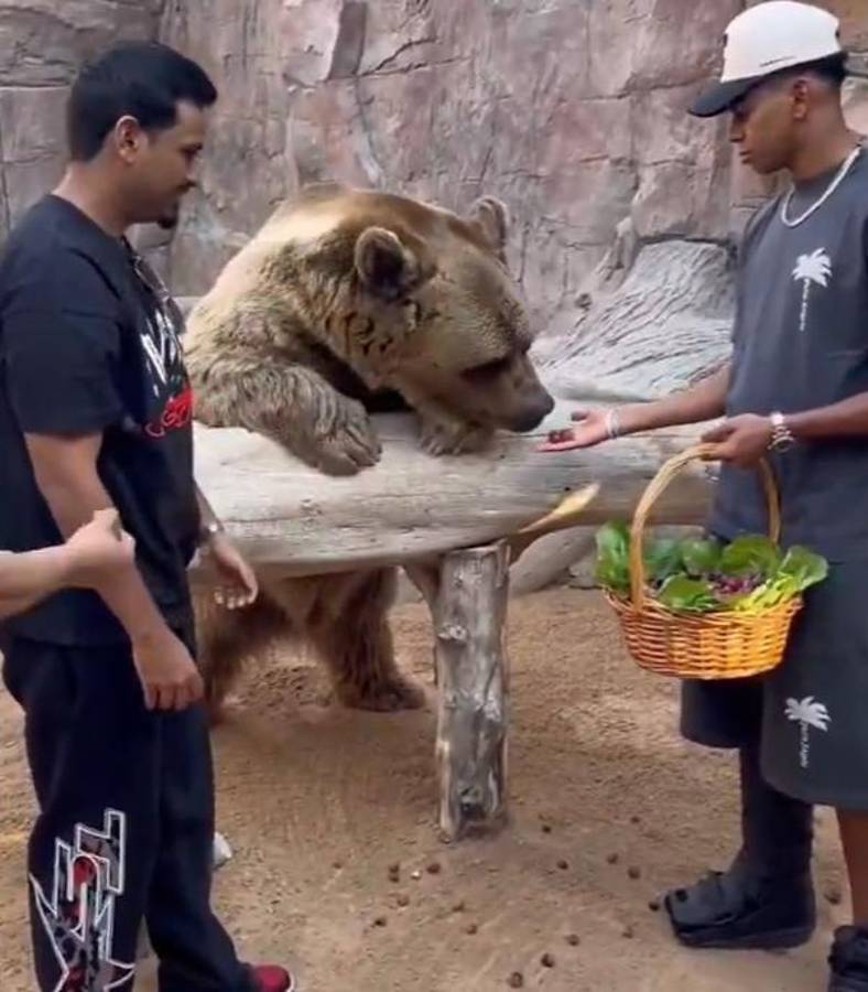 Las exóticas vacaciones de una estrella del Barcelona para despedir el 2024: osos, tigres y hasta serpientes