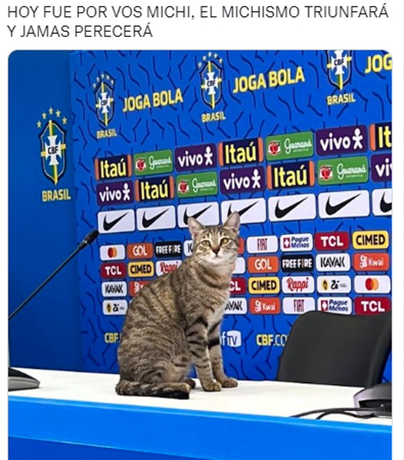 La venganza del michi: memes destrozan a Brasil tras quedar eliminado del Mundial ante Croacia