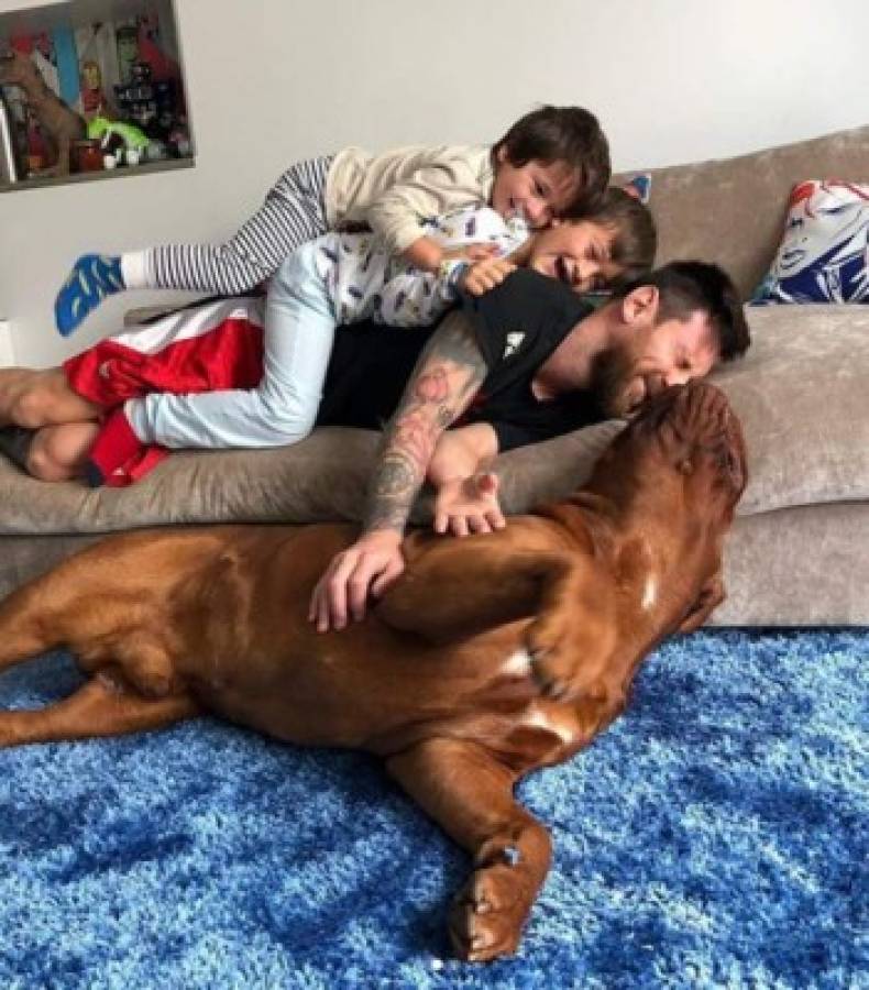 La impresionante transformación de 'Hulk', el perro de Lionel Messi