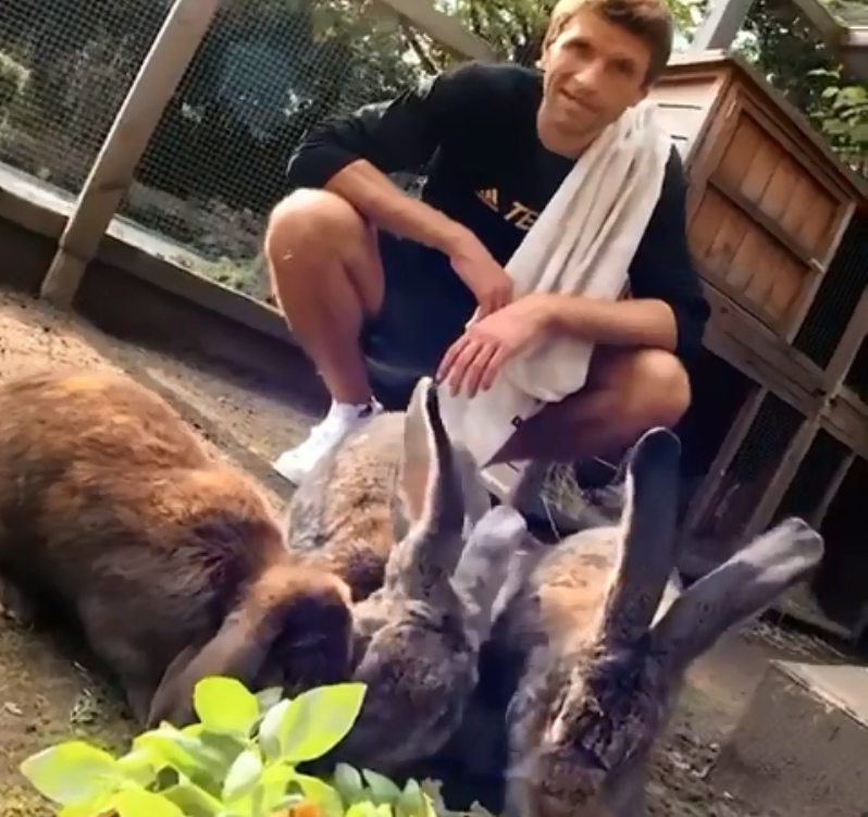 El insólito negocio de Thomas Müller: acusado de maltrato animal por dejar que sus caballos tengan “actos sexuales antinaturales”