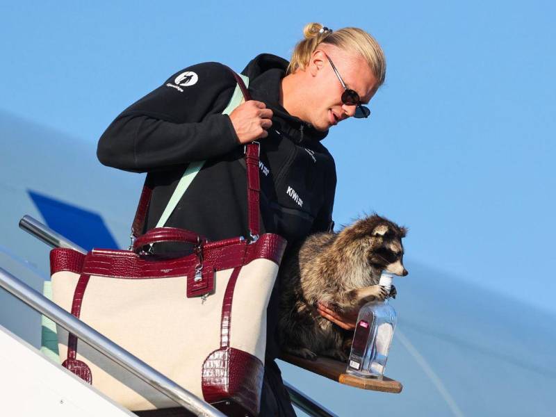 Erling Haaland sorprendió a todos en su regreso a Noruega con un mapache disecado agarrando una botella.