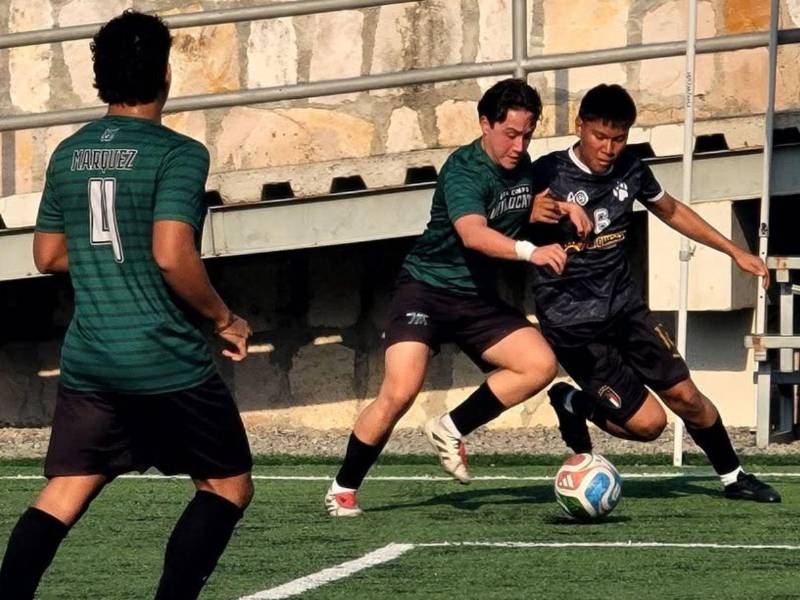 Juventud, talento y pasión: El éxito rotundo de los Juegos Intercolegiales UNITEC 2026