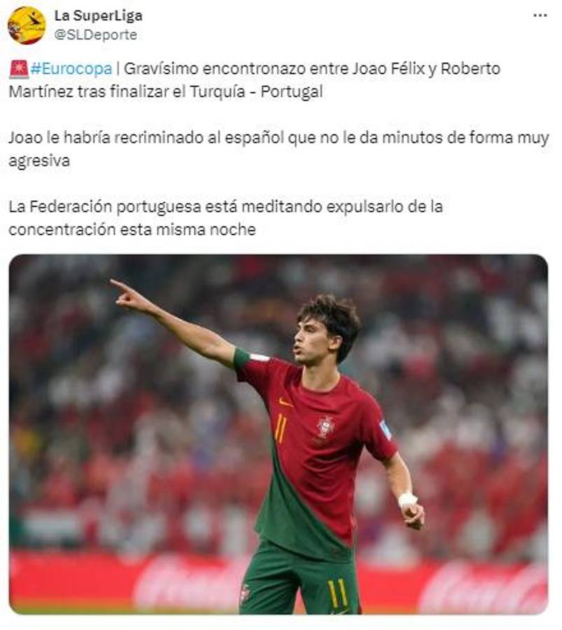 Pide que lo expulsen de la Eurocopa por tener encontronazo en la Portugal de Cristiano Ronaldo y este es el motivo