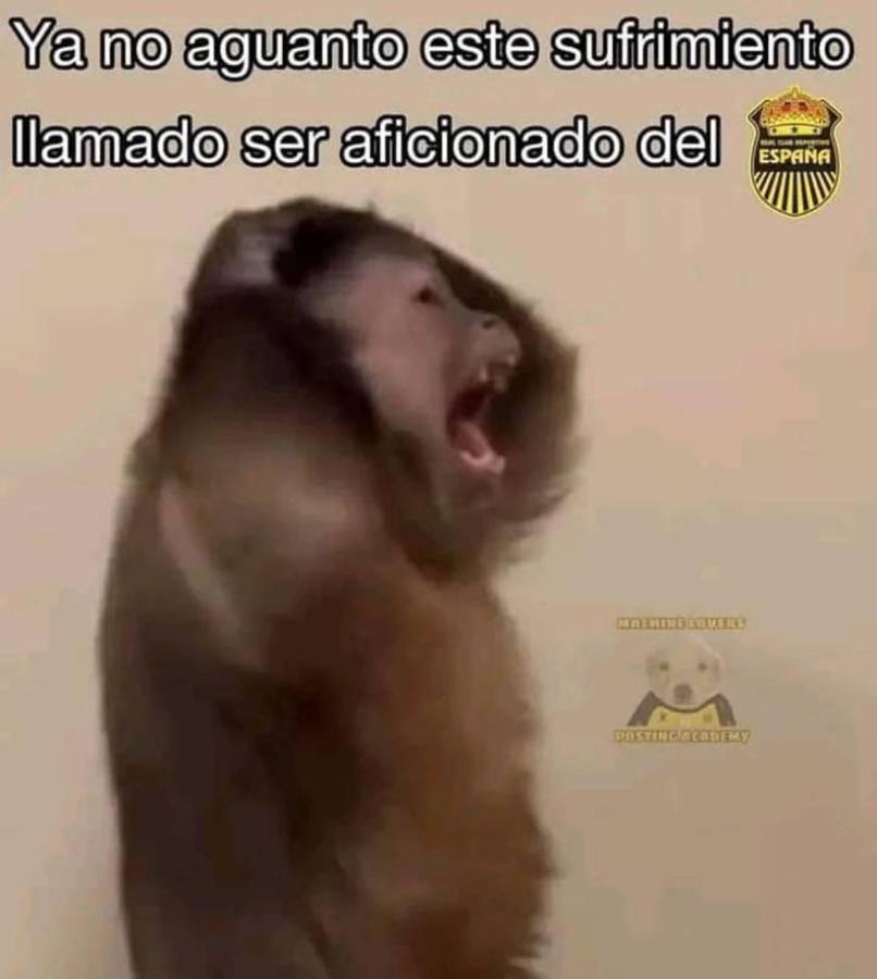 Del “nos dejaron vivos” a “otro proceso más”: los duros memes contra Real España tras perder en semifinales contra Motagua