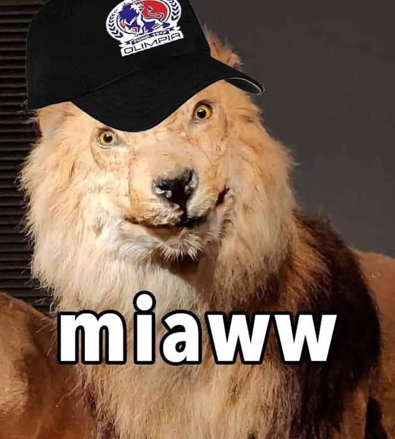 Los memes destrozan al Olimpia luego de caer ante Alajuelense y quedar fuera de la final de Copa Centroamericana