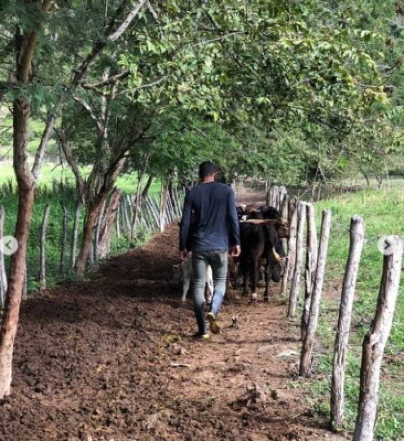 Douglas Martínez, el fanático de las vacas y caballos que destaca en la USL