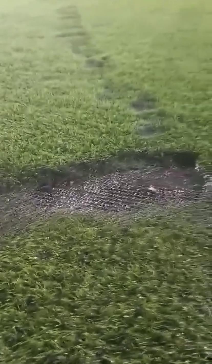 Tremendos huecos: ¡los severos daños que sufre la costosa cancha del Estadio Nacional por quema de pólvora!