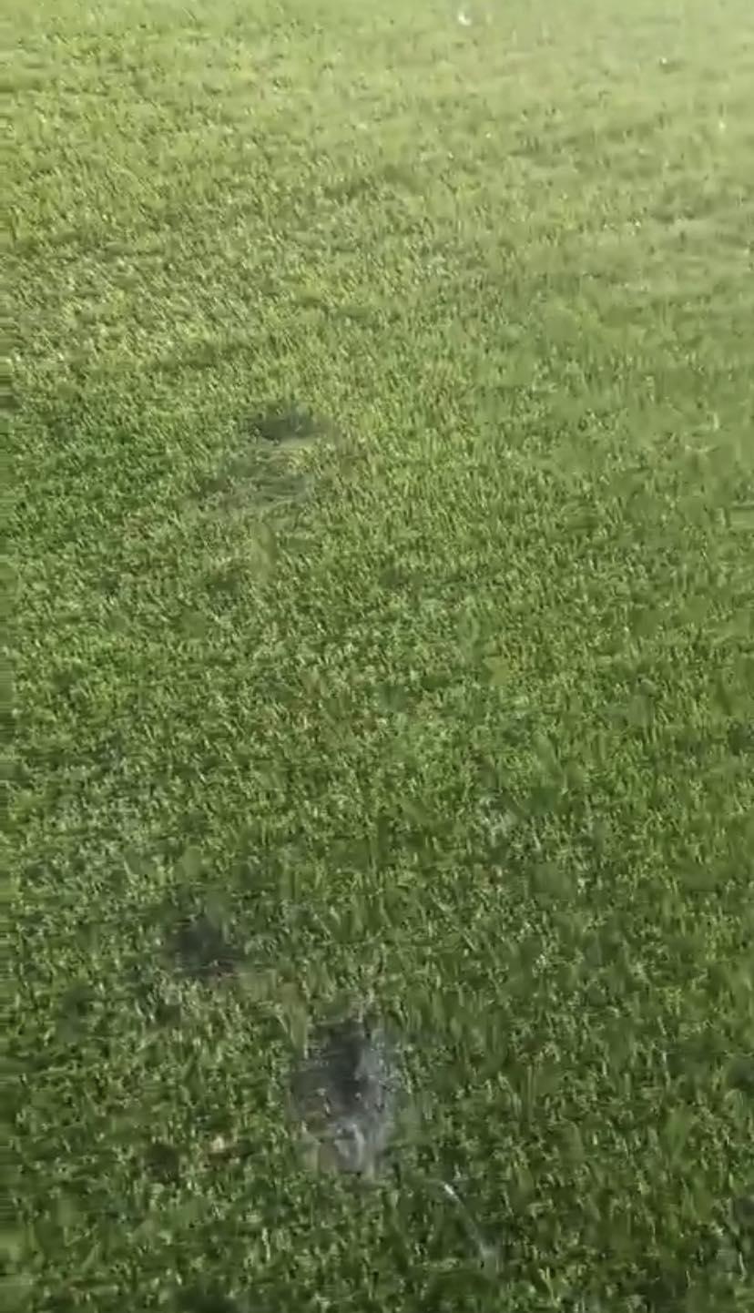 Tremendos huecos: ¡los severos daños que sufre la costosa cancha del Estadio Nacional por quema de pólvora!