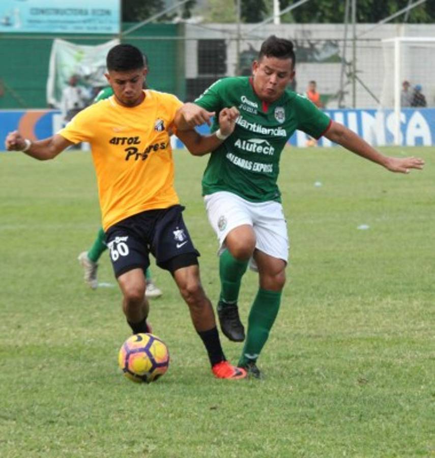 ¡Nueva camada! Conocé los jugadores que debutaron en este Clausura en Honduras