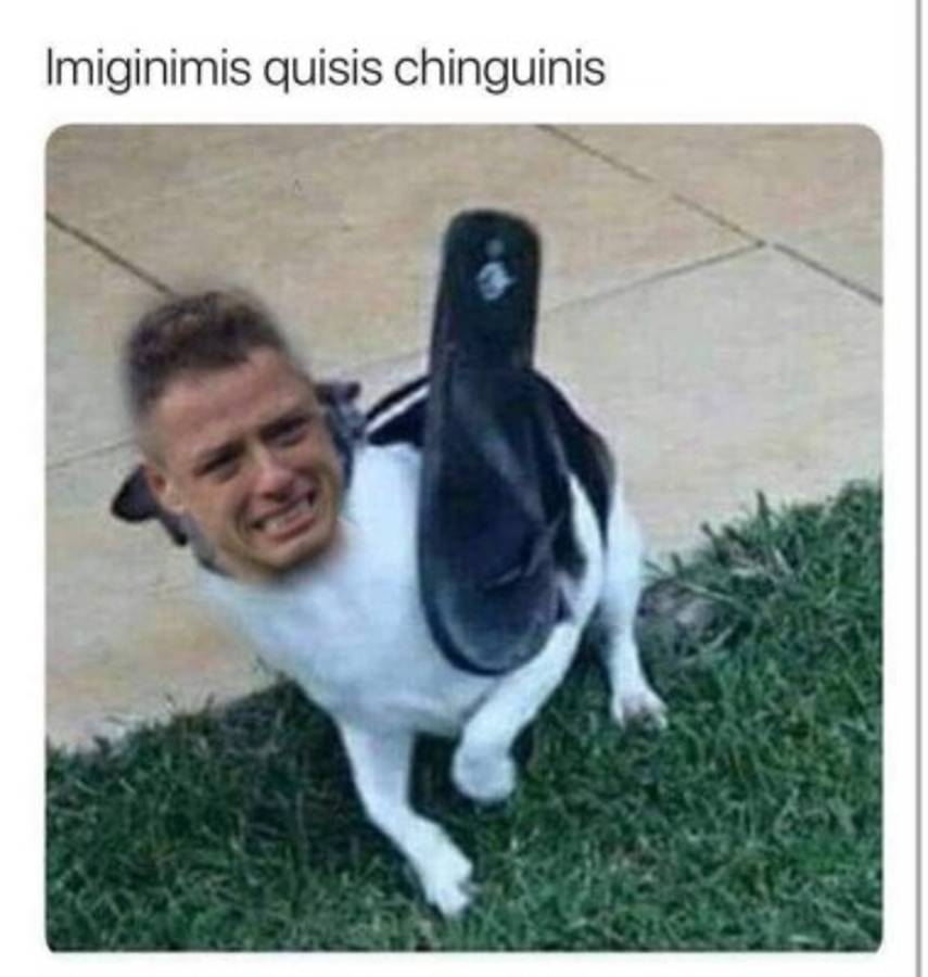 ¡Atacan a México con duros memes tras quedar fuera del Mundial ante Brasil!