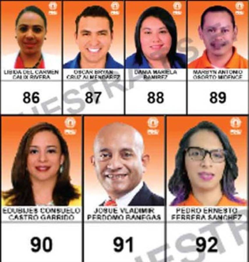 Especial elecciones Honduras 2017: Los candidatos a diputados por Francisco Morazán