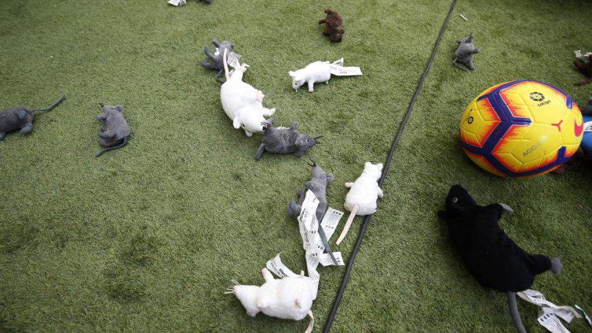 Courtois recuerda el “derbi de las ratas” y su sorpresivo dato contra Atlético que ilusiona al Real Madrid