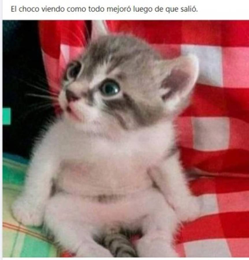 ¡Los memes del agónico triunfo de Honduras sobre Costa Rica en la Liga de Naciones!