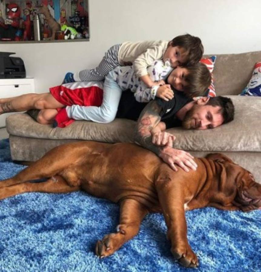 La impresionante transformación de 'Hulk', el perro de Lionel Messi