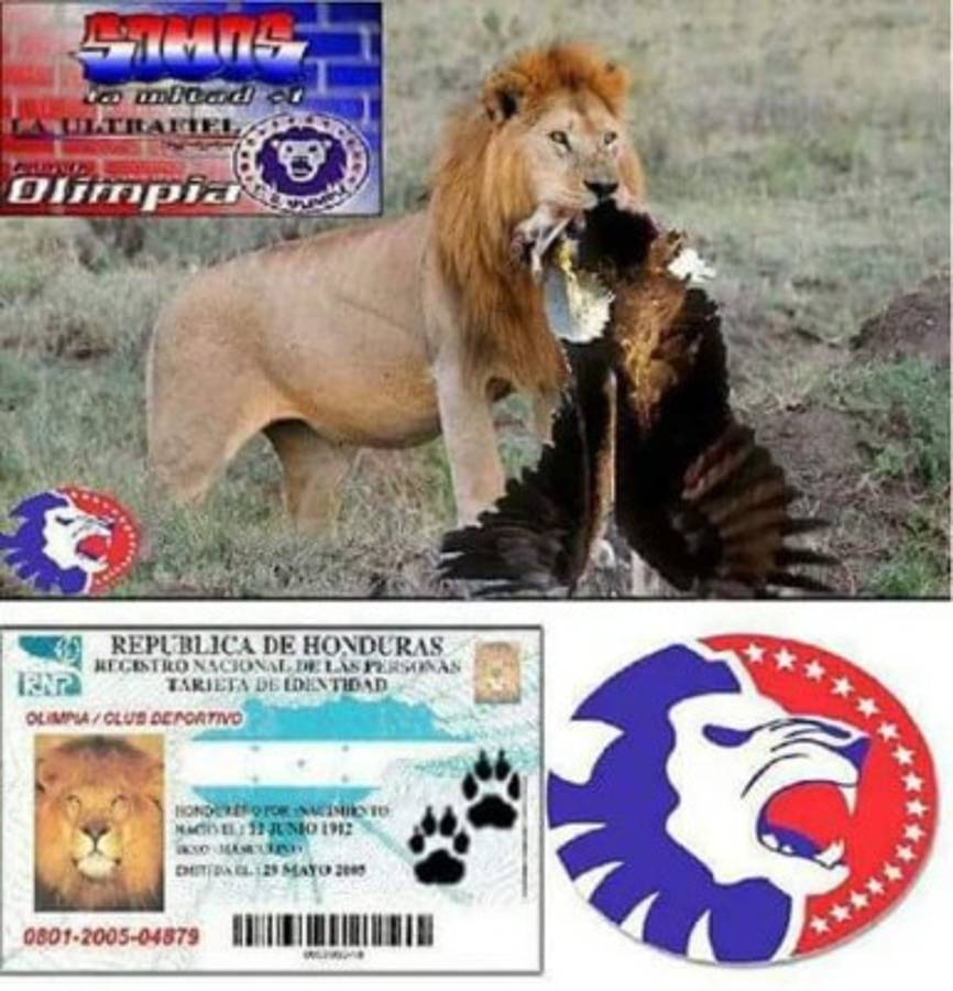 Motagua y Real España son víctimas de los memes tras ser eliminados