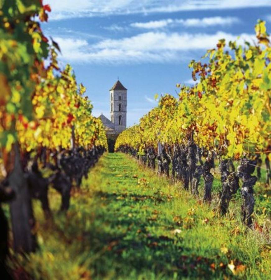 La 10 curiosidades que no conocías de Burdeos, la nueva ciudad y casa de Alberth Elis en Francia