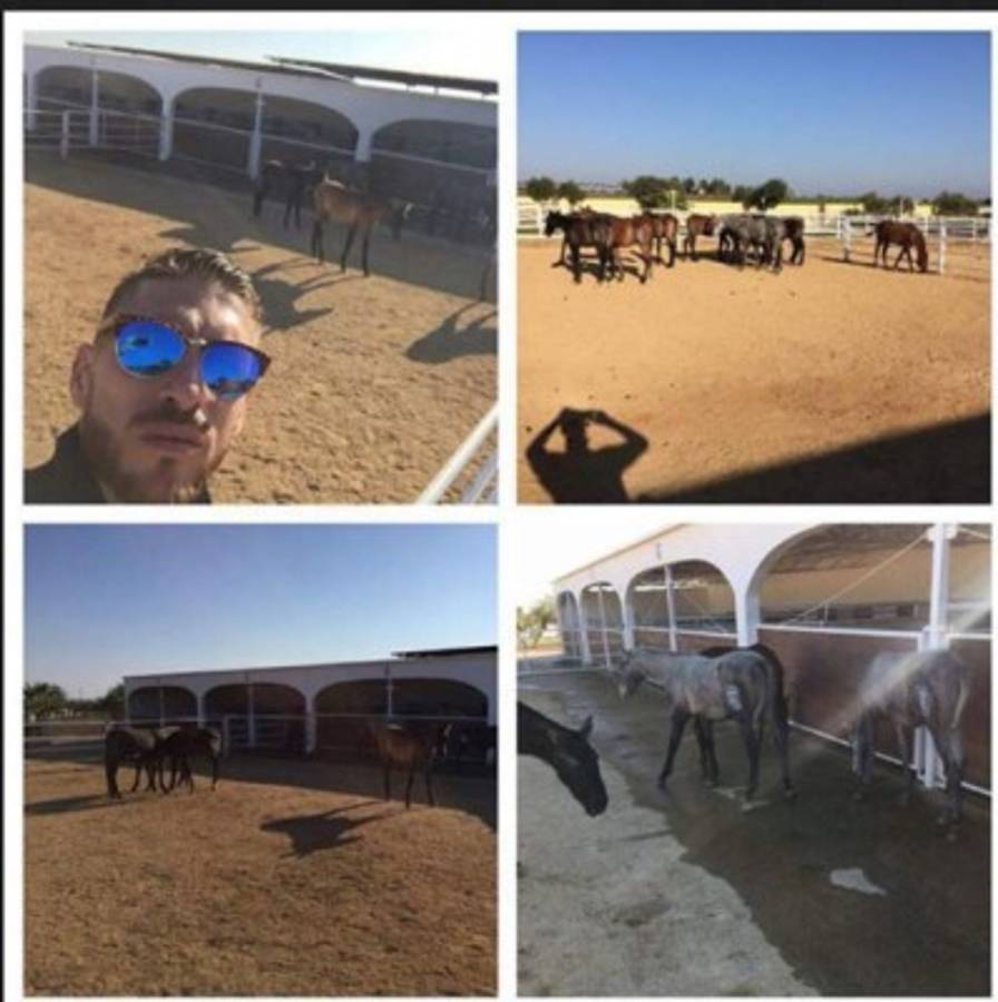 Impensados: ¿Qué hobbies tienen los futbolistas y otros grandes deportistas?