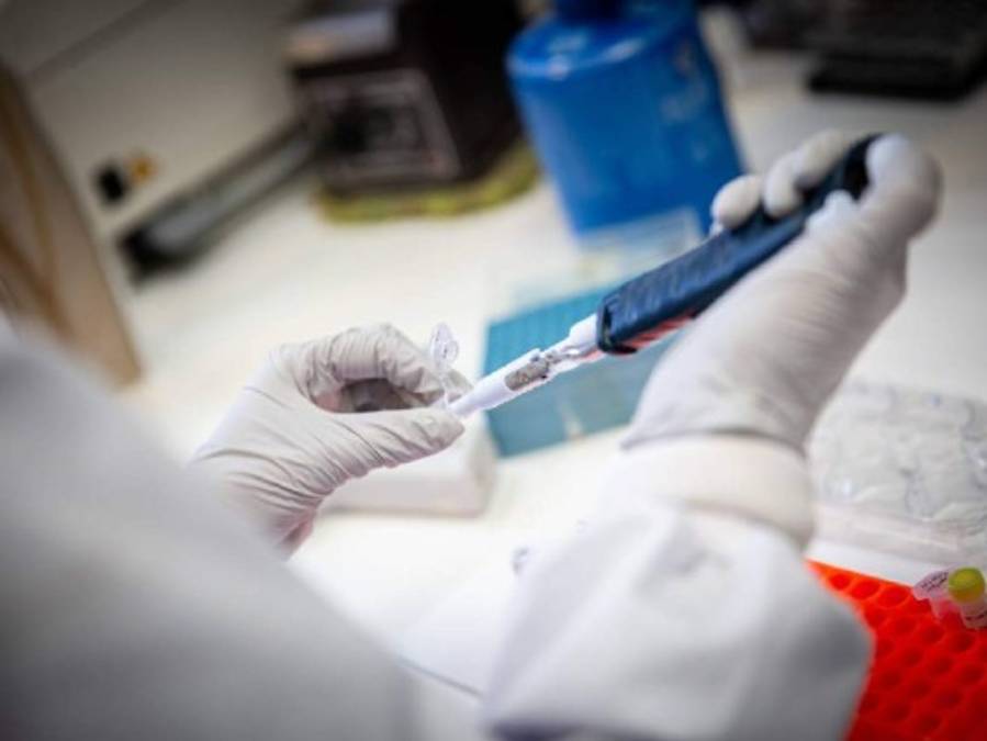 Luis Guzmán y su pesadilla con el Covid-19; los momentos memorables en Liga Nacional y el lamento por Real de Minas