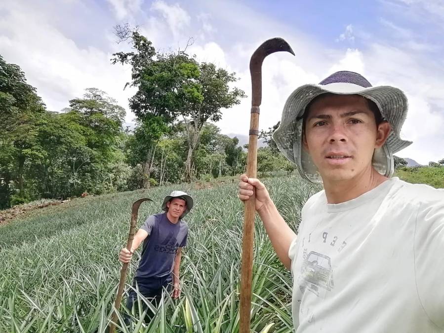 Con machete en mano y cultivando piña: Así es la vida fuera de las canchas de Francisco Martínez y su hermano árbitro