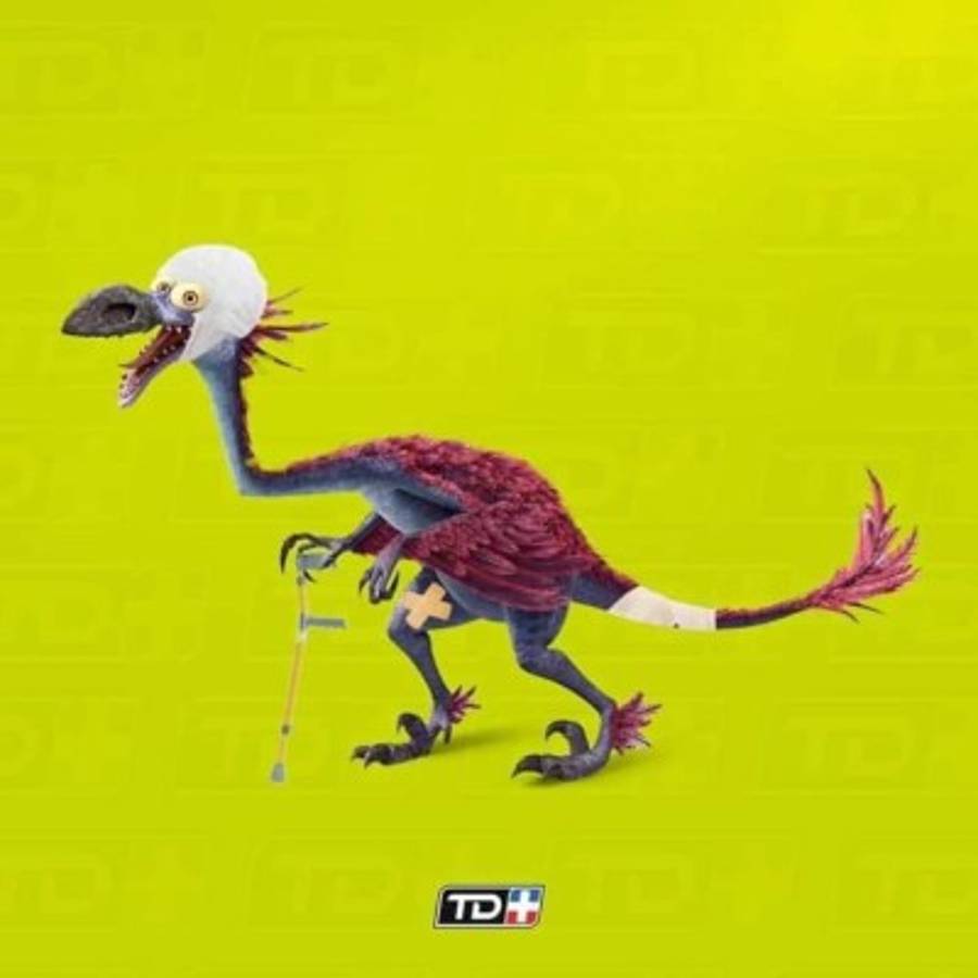 ¡Saprissa es humillado y triturado con memes luego de paliza de Tigres!