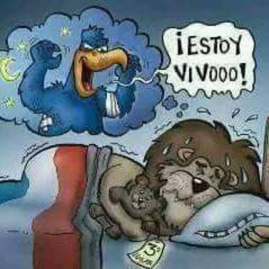 Los memes destruyen al Motagua tras perder la final ante Marathón