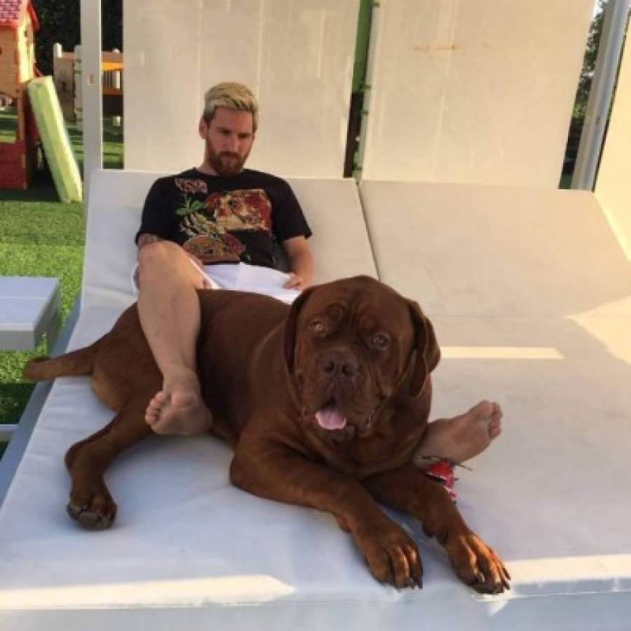 La impresionante transformación de 'Hulk', el perro de Lionel Messi